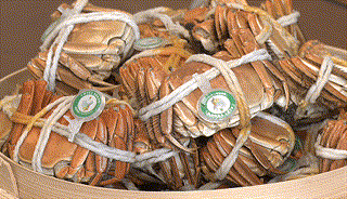 mmexport1ec80b0c4e04078b5626dfd3d45a523b_1793016738965.gif