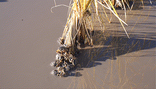 mmexport7e90883dd34b2a7def315de94da7f946_1793016754091.gif