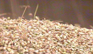 mmexporta1314a967a45718f380a7e609acb51a4_1793016765546.gif